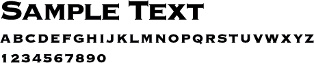 Times New Roman の書体サンプル